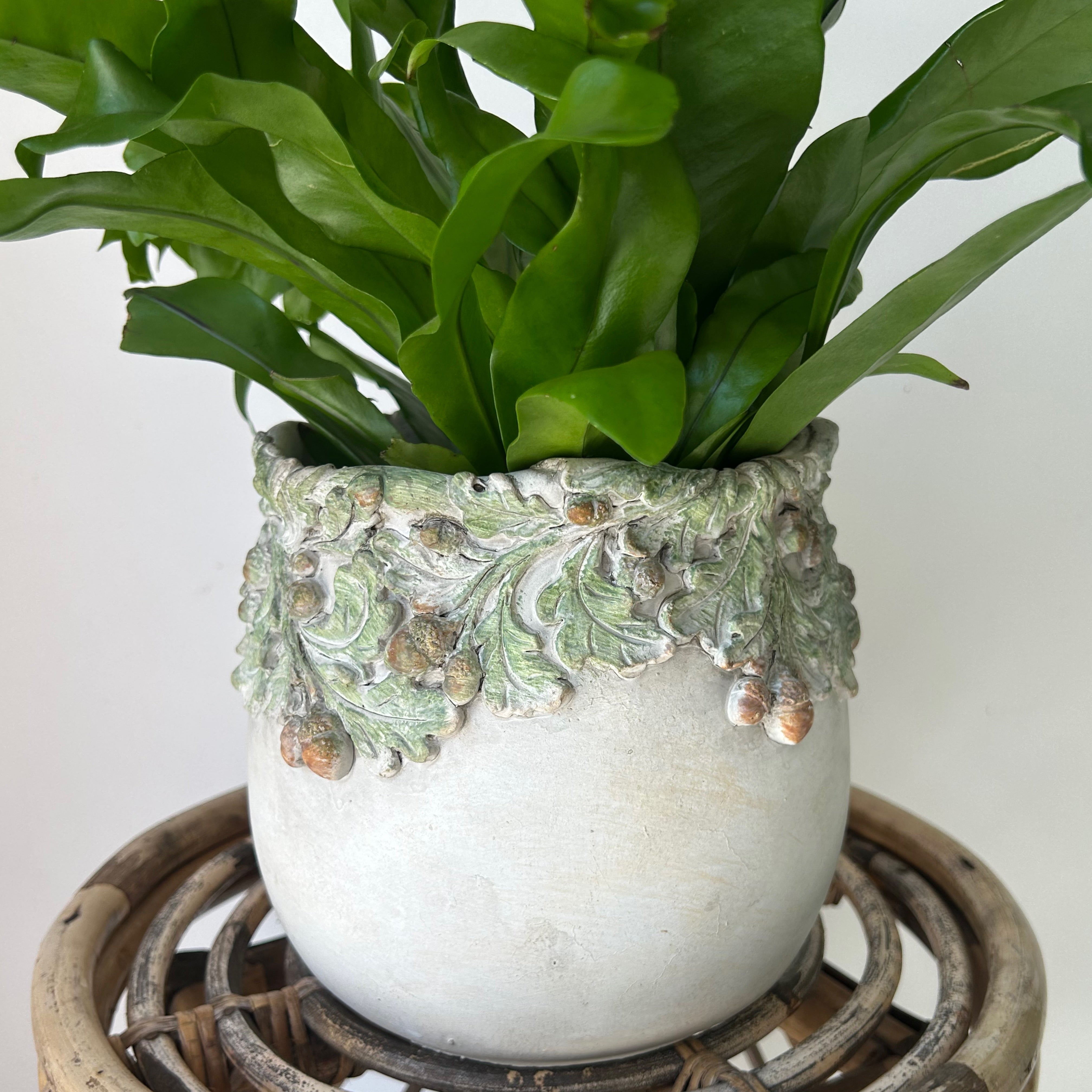OAKWOOD Decorative Cement Pot (available in two sizes)