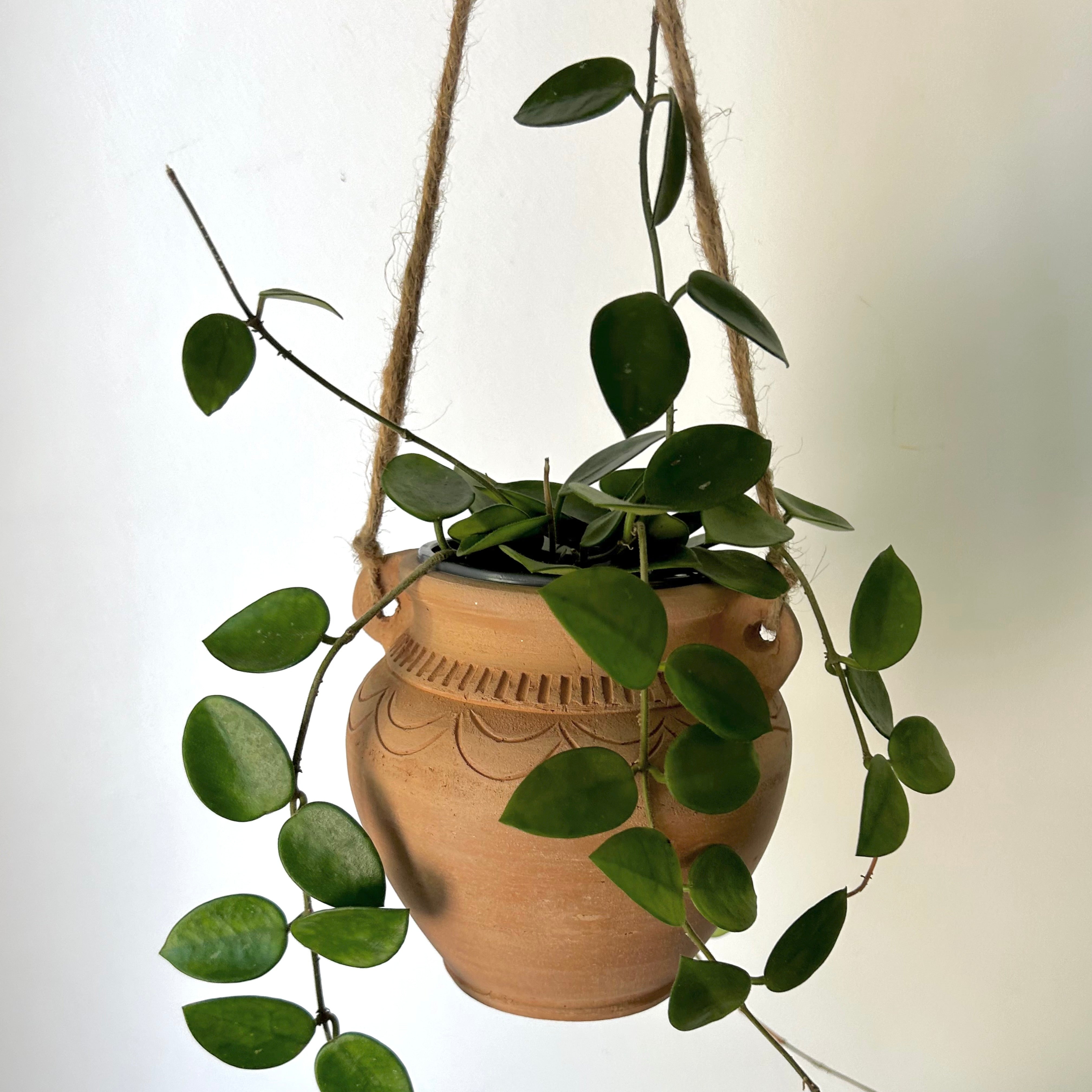 ARIZONA Decorative Clay Pot (3.5”x5.5”)