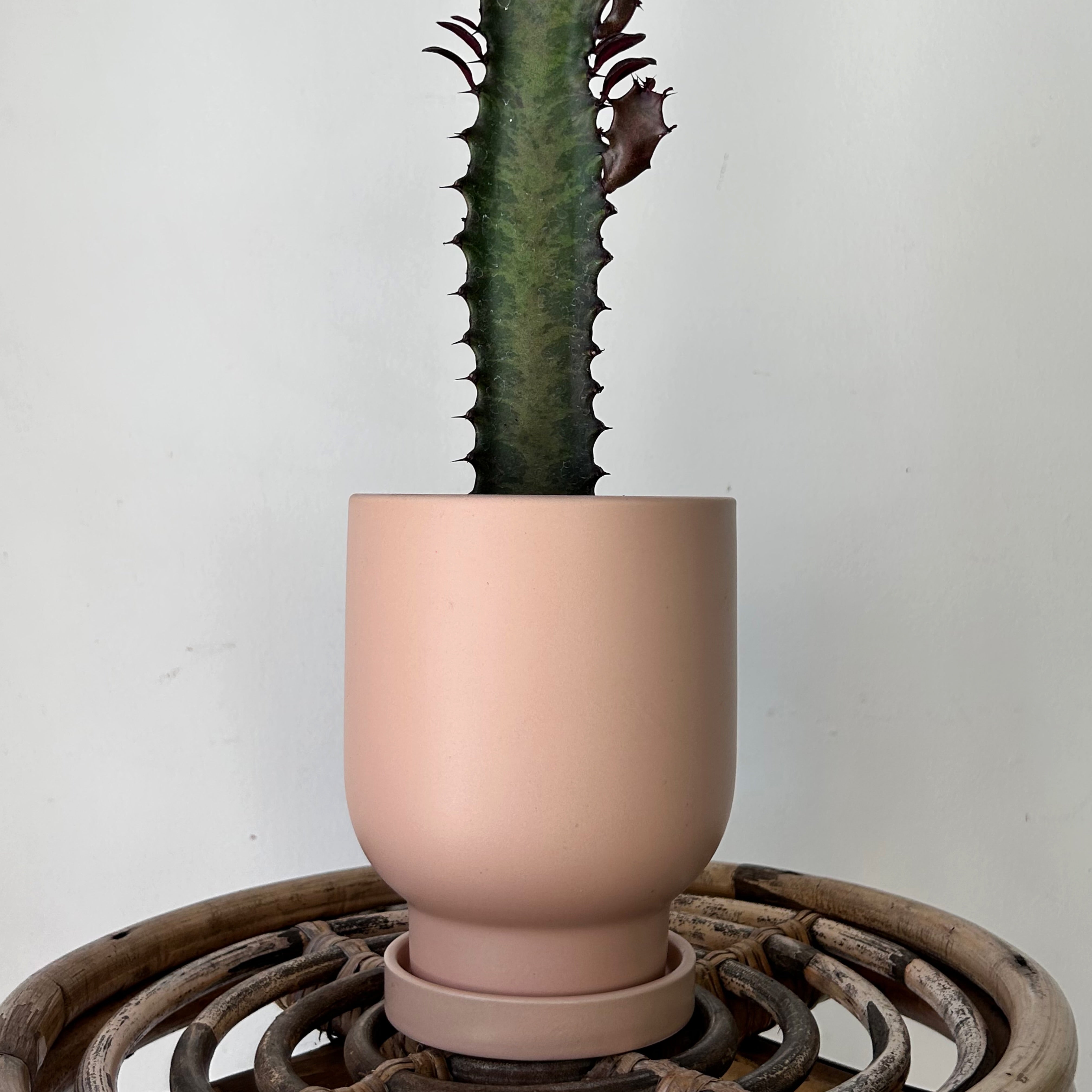 TARRYTOWN Pot with Saucer PASTEL PEACH (4.5"x5.5")