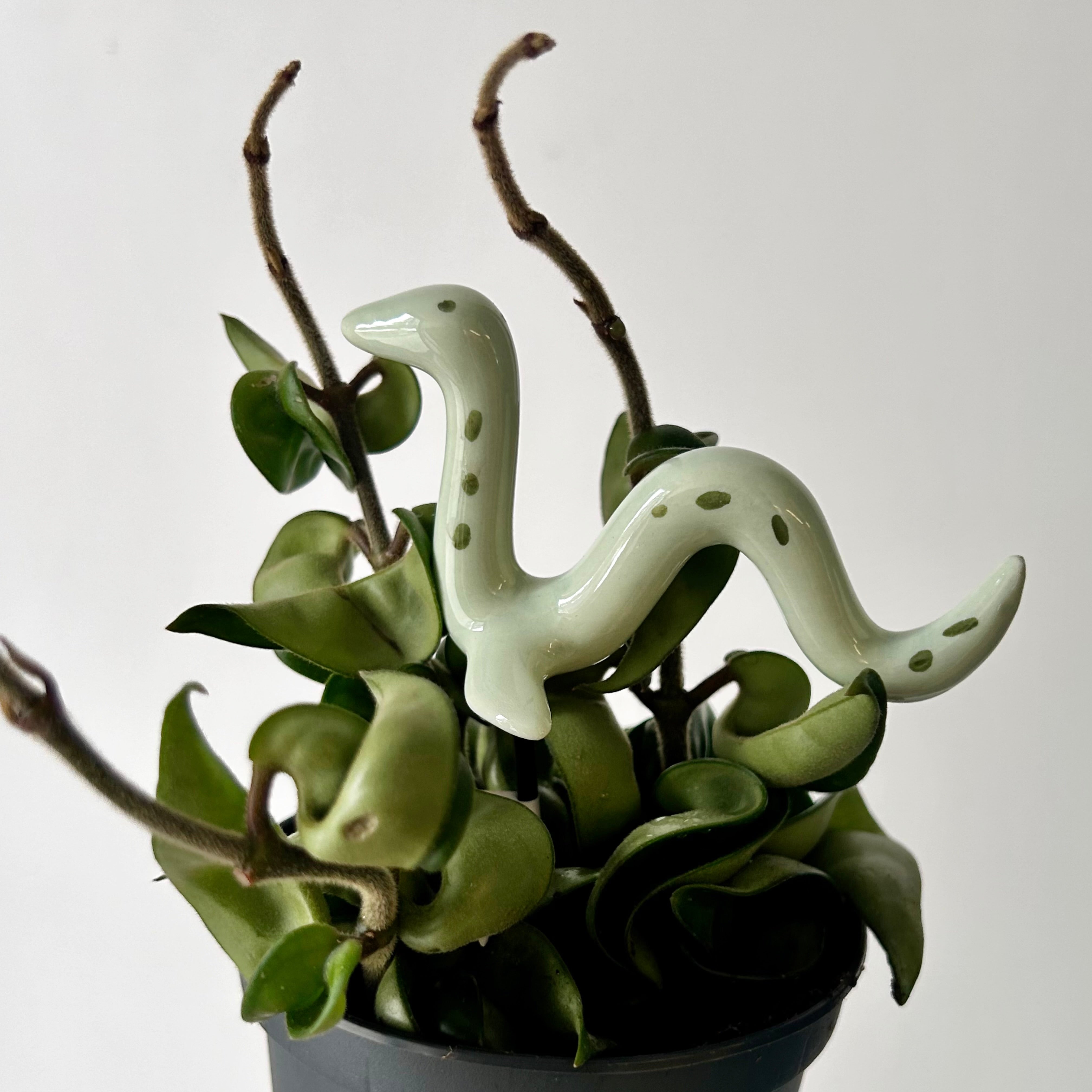 Ceramic Decorative Accents