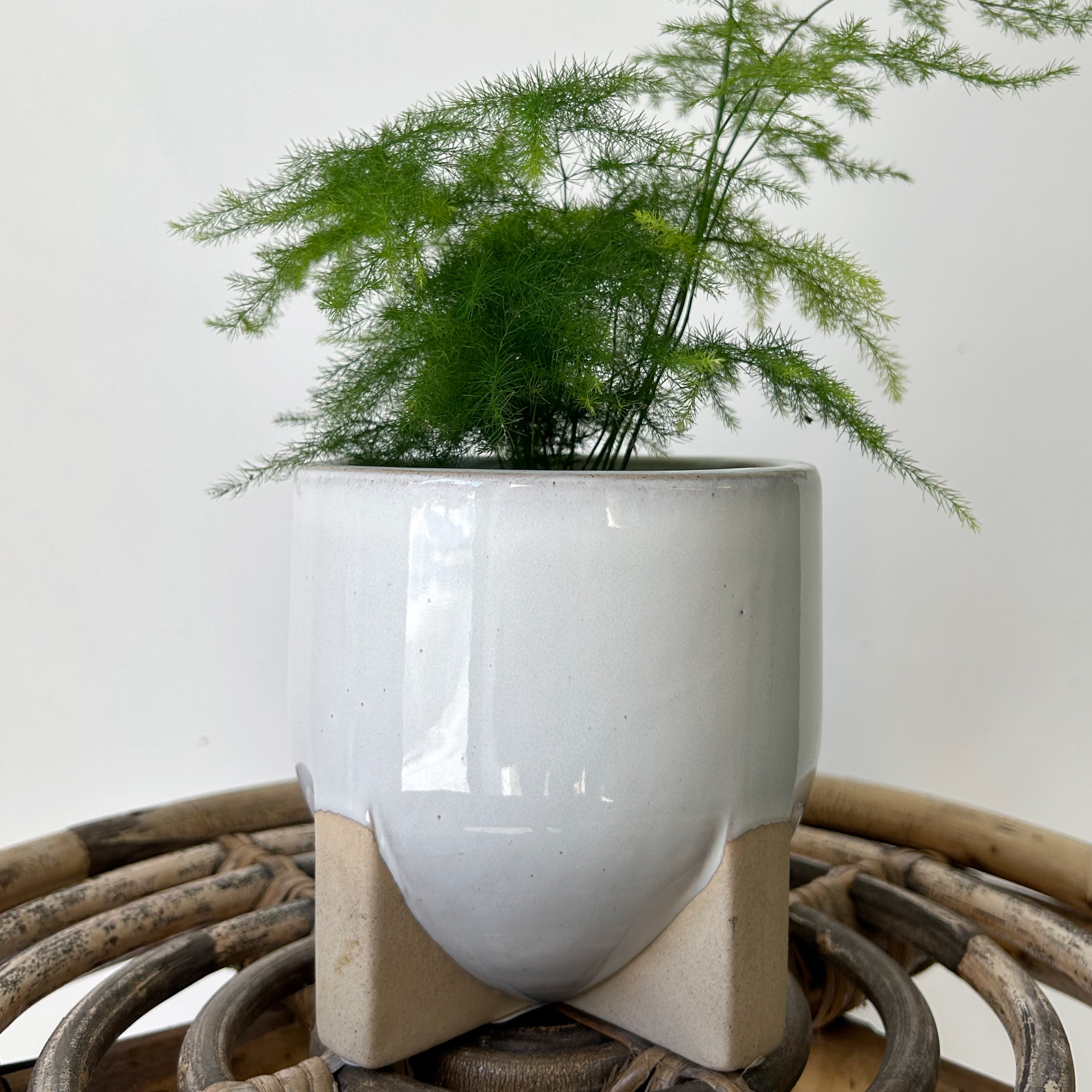 REMY footed decorative ceramic pot (available in two sizes)