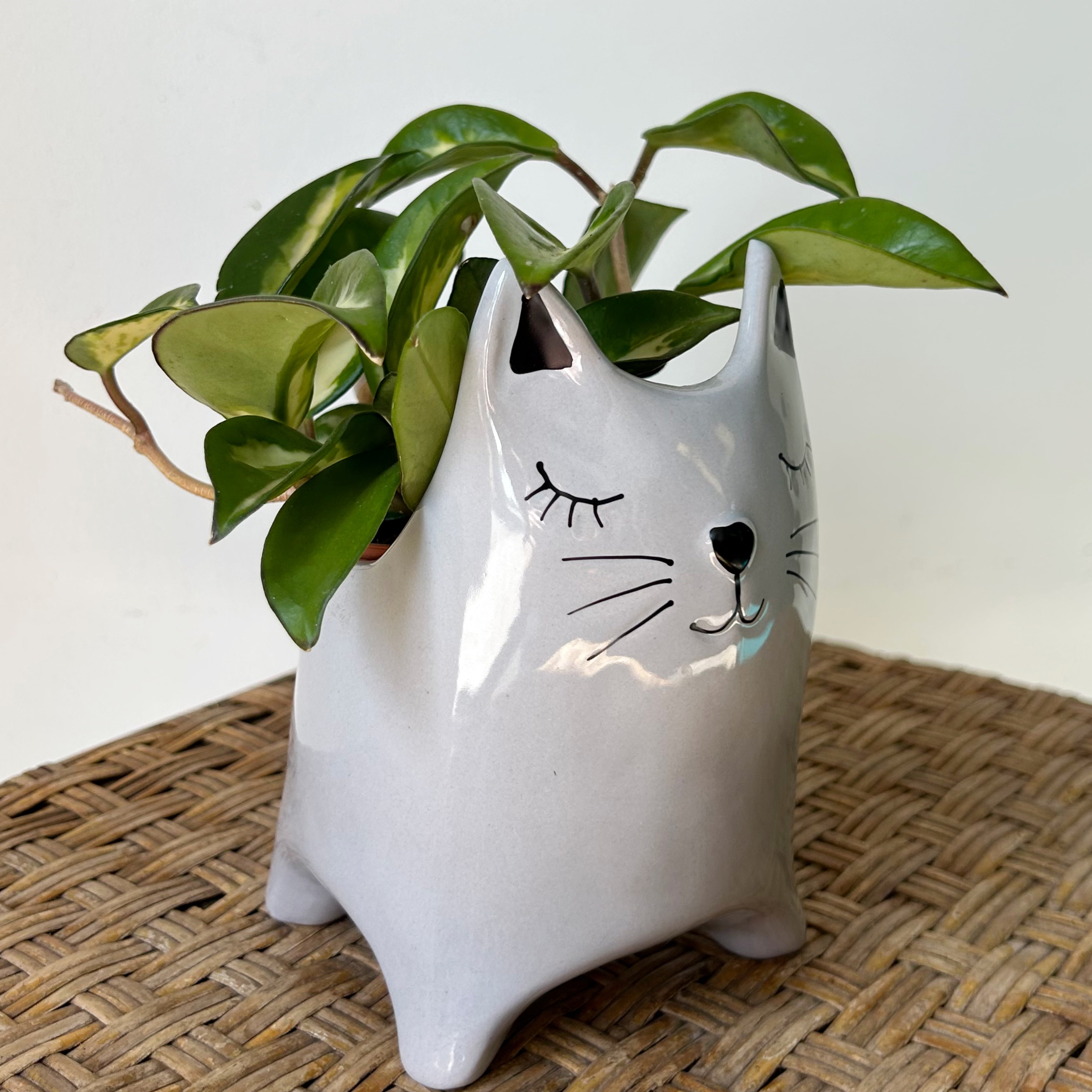 Decorative Kitten Ceramic Planter (3”x3”)