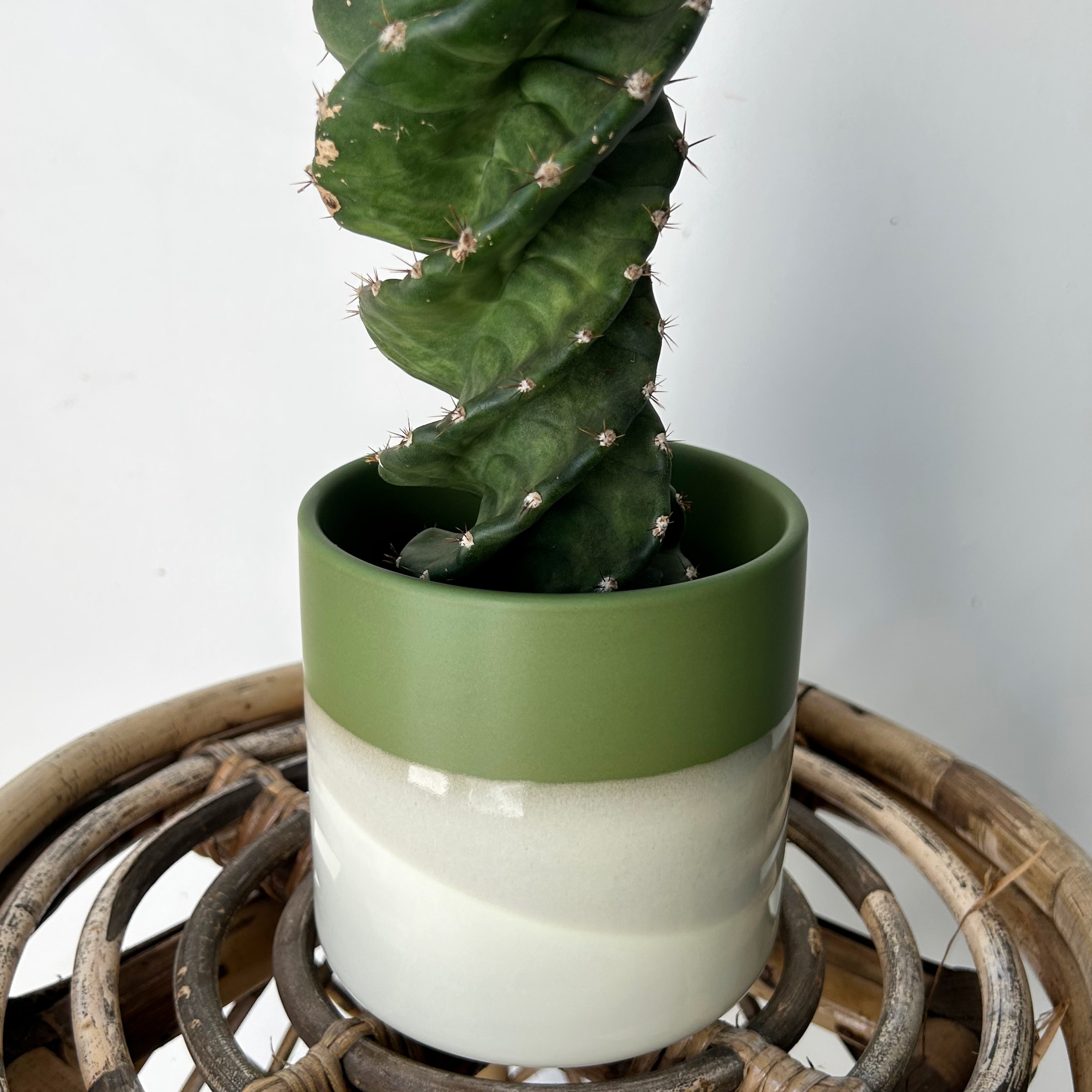 LAURIS Decorative Ceramic Pot (4.25”x4.5”)