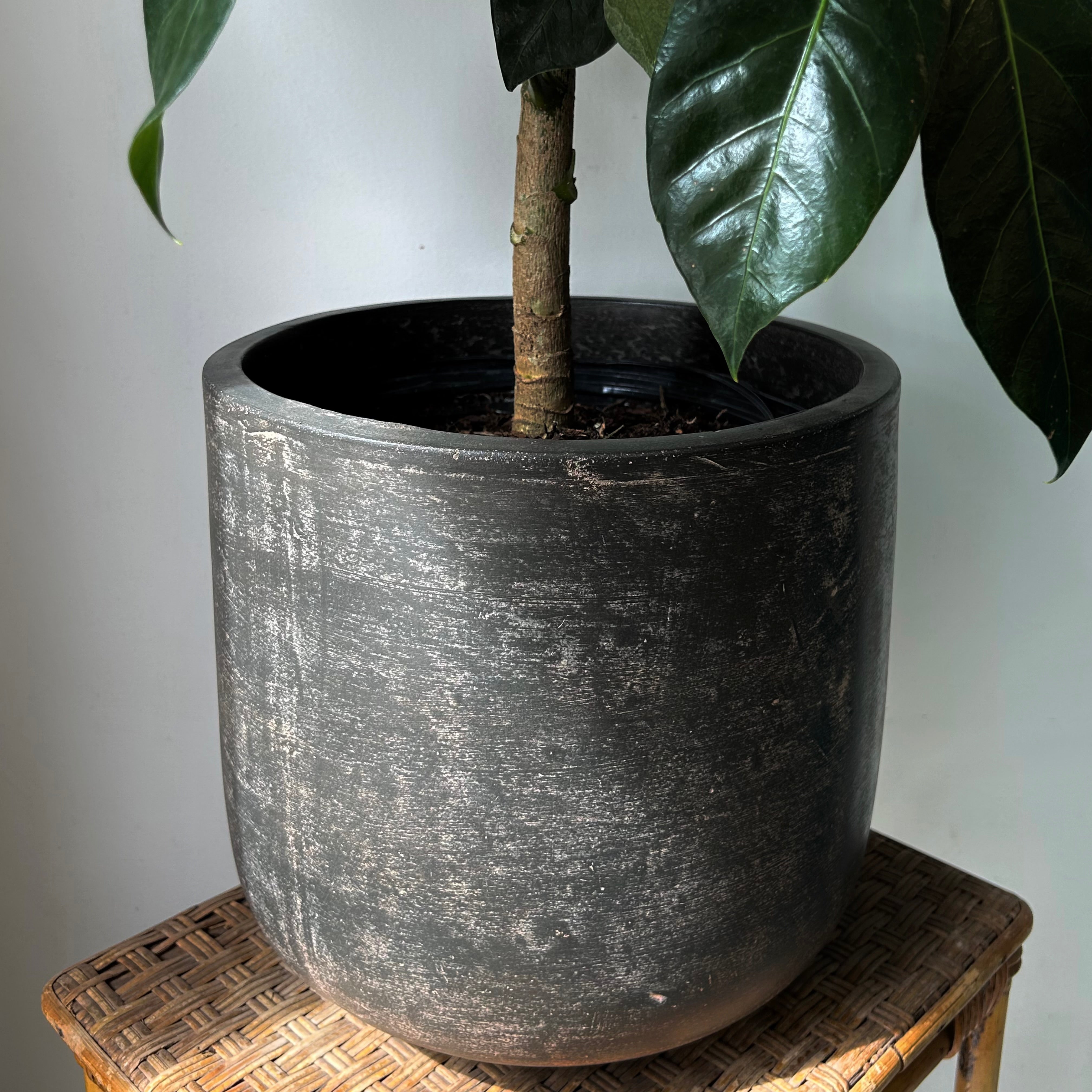 ARTURO Copper Large Cylindrical Planter (10”x10”)