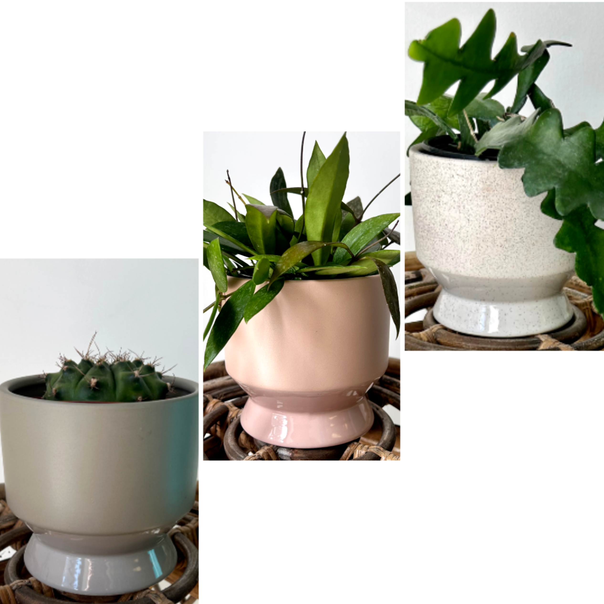 PASADENA Decorative Raised Pot 4.5”x5” (available in three colours)