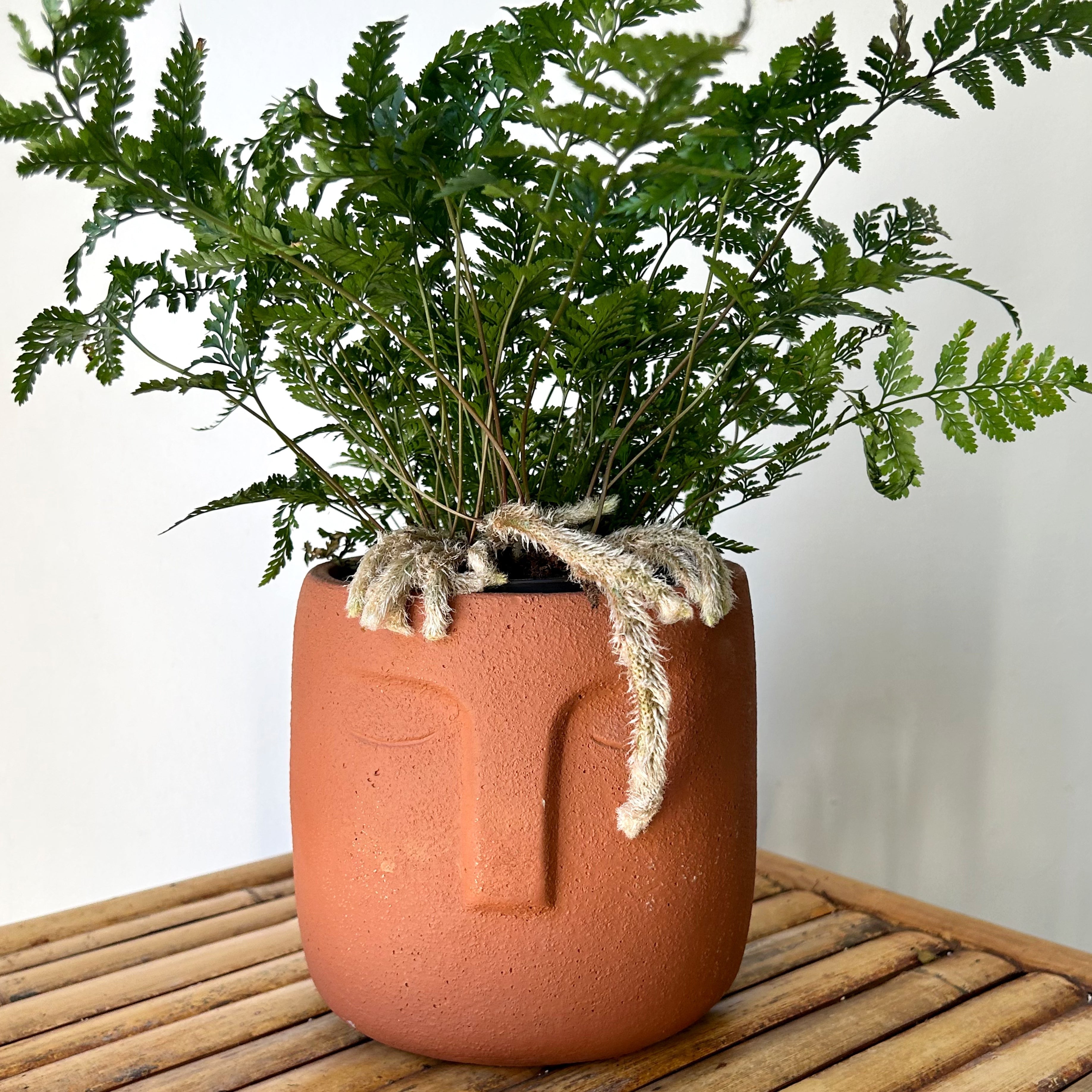LEO Face Planter (5”X5.25") available in light grey & terra cotta orange