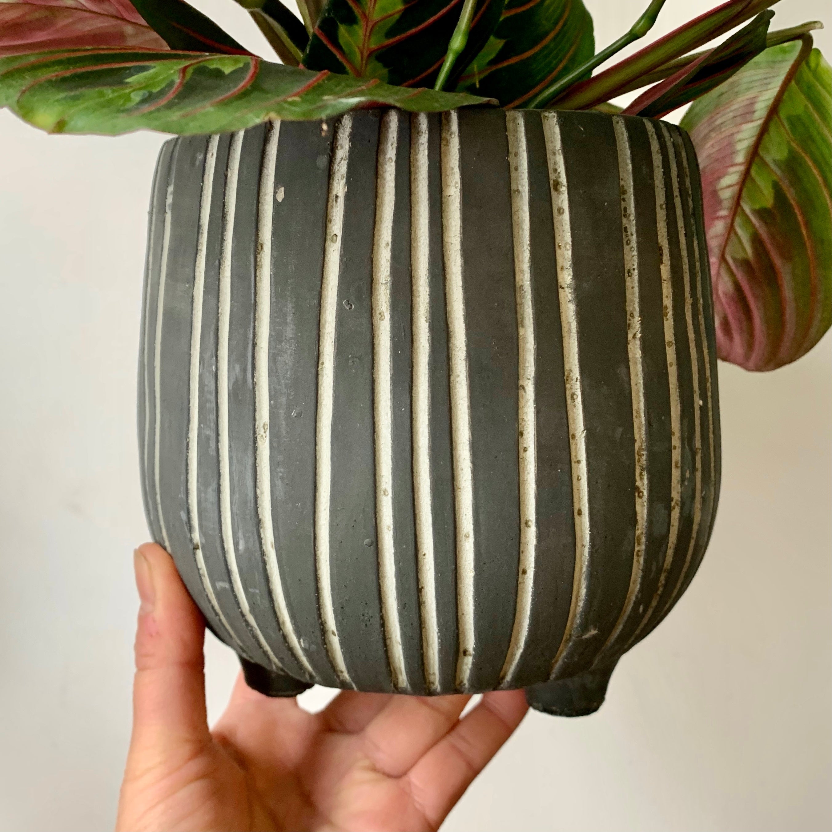 CHEYENNE footed concrete pot (5.5”X5”) CHARCOAL GREY