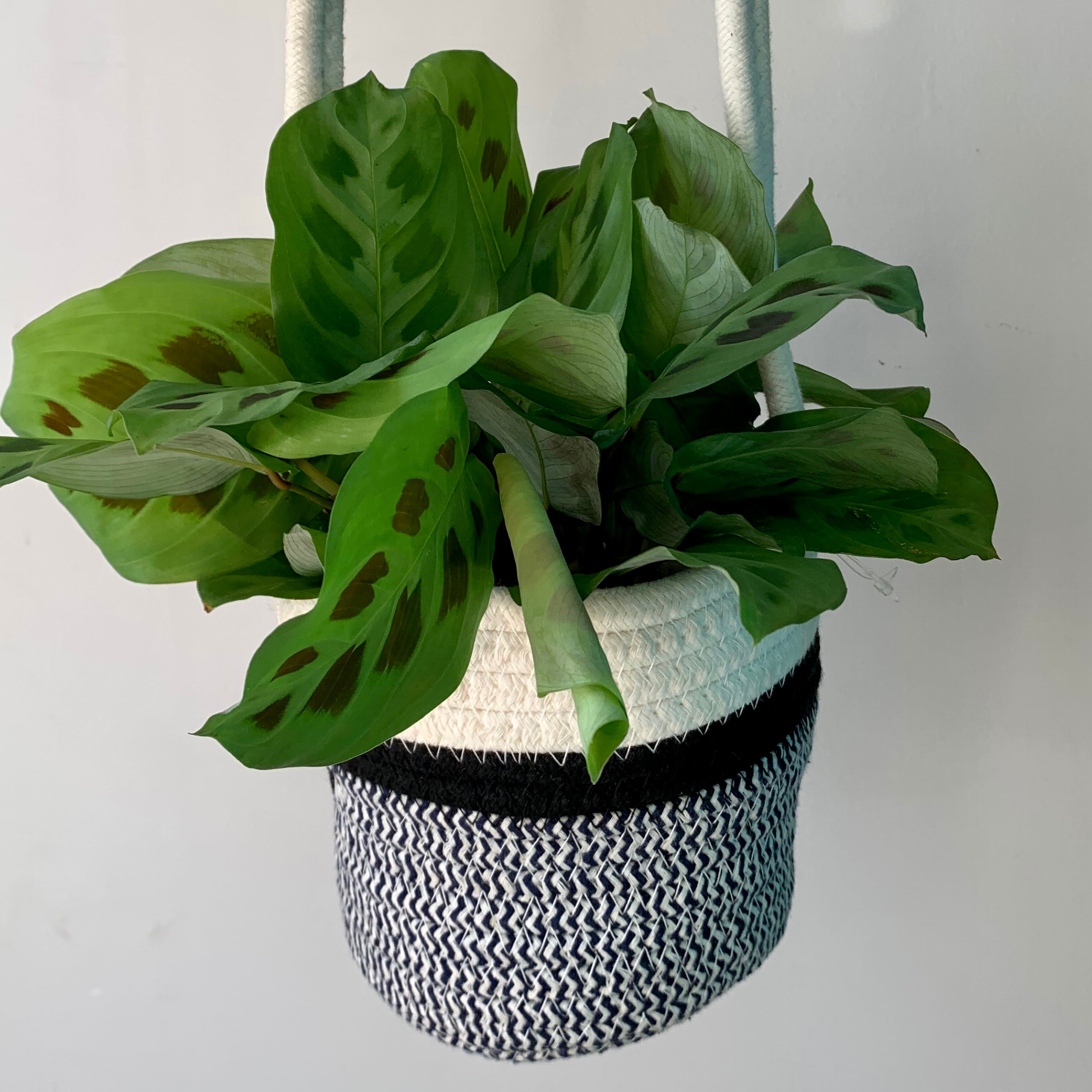 MARILYN two-toned hanging cotton planter (6"X5.25")